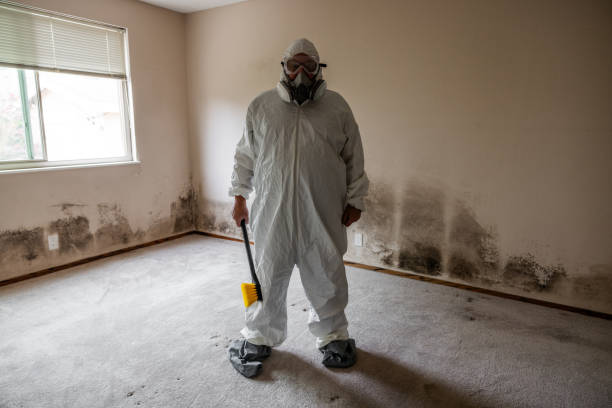 Best Post-Flood Mold Remediation in Pilot Point, TX